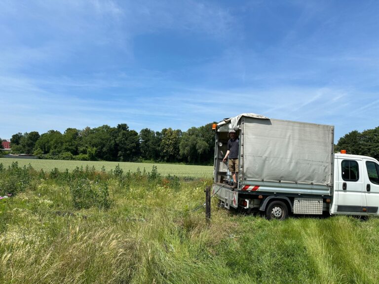 Juli 2025 – Gurkentruppe Gewächshaus