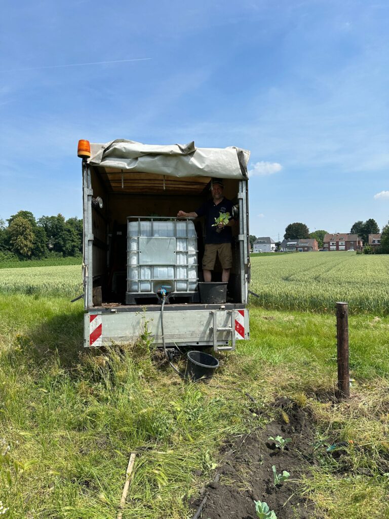 Juli 2025 – Gurkentruppe Gewächshaus