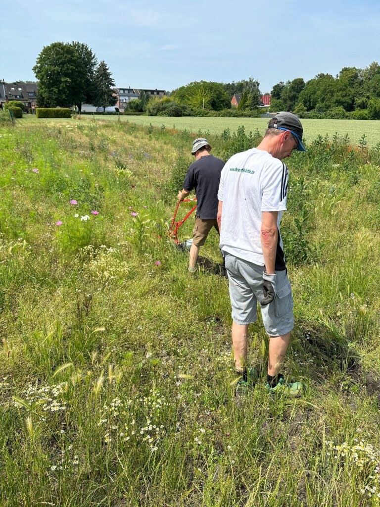 Juni 2026 – Gurkentruppe Gewächshaus