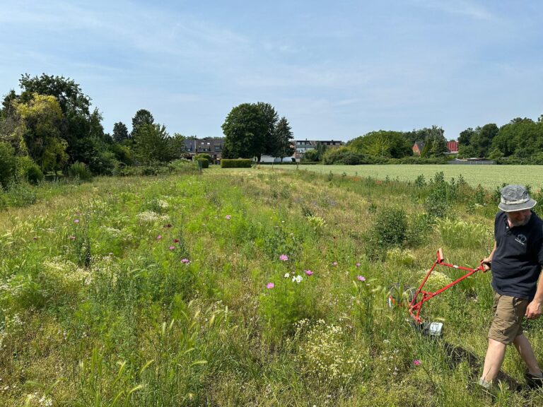 Juli 2025 – Gurkentruppe Gewächshaus