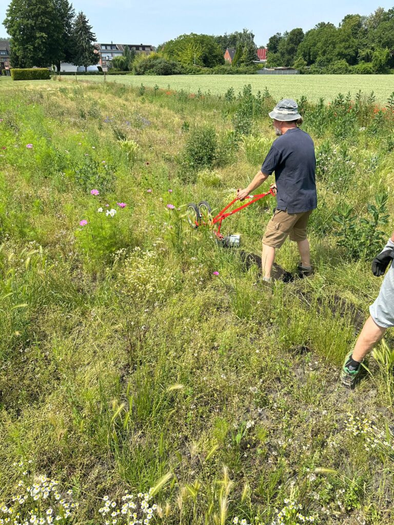 Juni 2025 – Gurkentruppe Gewächshaus