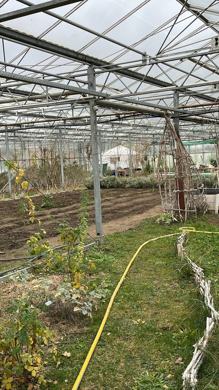 Anzuchthaus – Gurkentruppe Gewächshaus