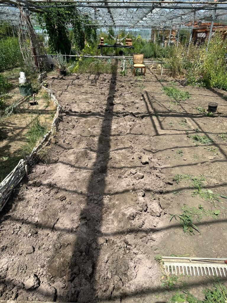 Boden aufbauen mit Pappe (Testfeld) – Gurkentruppe Gewächshaus