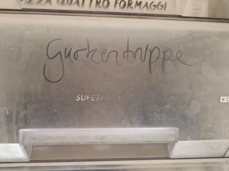 Bei Hitze – Gurkentruppe Gewächshaus
