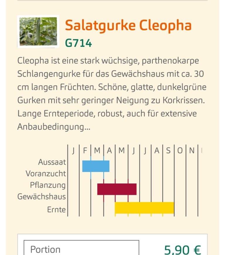 Saatgut – Gurkentruppe Gewächshaus